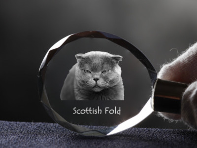 Scottish Fold, Cat Crystal Round Keyring, High Quality, Crystal Animals USA