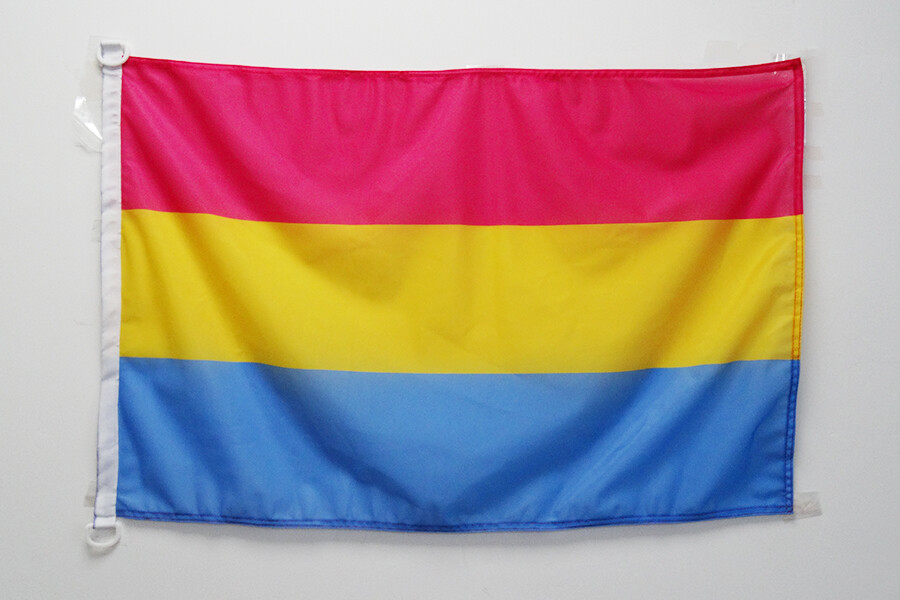 Pavillon nautique Pansexualité 45x30cm - Drapeau de bateau omnisexualité - panse