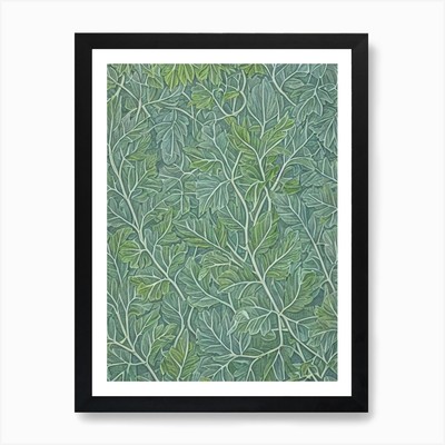 American Beech 1 tree Vintage Botan Framed Wall Art Poster Canvas Print Picture