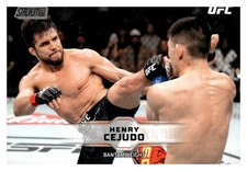 Henry Cejudo Chrome 2018 #86