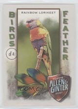 2021 Topps Allen & Ginter's Birds of a Feather Rainbow Lorikeet #BOF-10 0d2