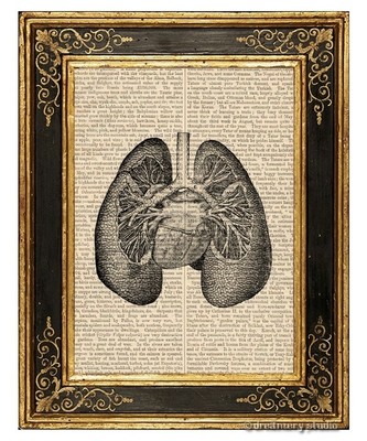 Lungs Art Print on Vintage Book Page Medical Anatomy Illustration Decor Gifts