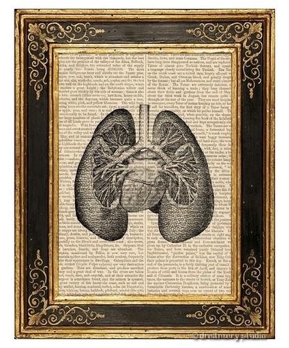 Lungs Art Print on Vintage Book Page Medical Anatomy Illustration Decor Gifts - Picture 1 of 3