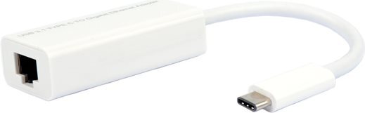 Convertitore ROLINE RJ45 USB-C Gigabit Ethernet 12.02.1109 Professionale