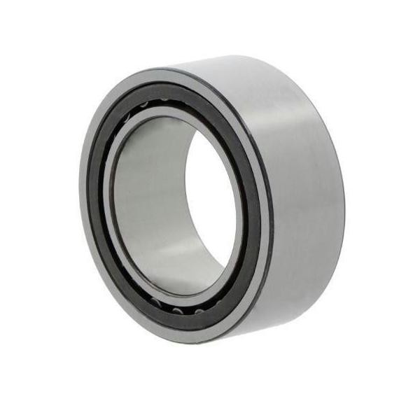 Nke Zylinderrollenlager NUP309 -E-TVP3-C3 Id 45Mm Ad 100Mm Breite25Mm 1St./Ve-image