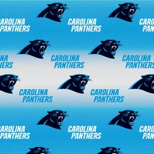 NFL - Carolina Panthers Blue Cotton Fabric - 18" x 58" -