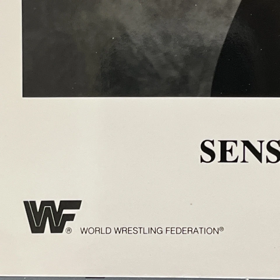 FOTO PROMOCIONAL ORIGINAL 8X10 WWF WWE SENSATIONAL SHERRI P049 CON LICENCIA OFICIAL 1991 Foto 3 de 4