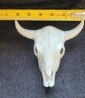Western Americana Longhorn Steer Skull Wall Decor w/ Horns White 6x5.5" ceramic  — photo 3