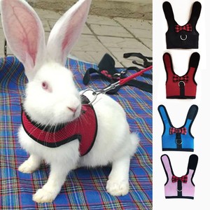 cute bunny harness