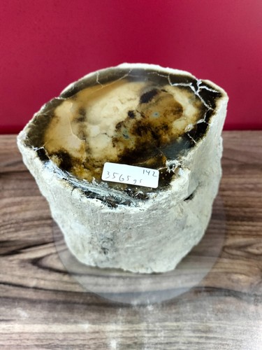 Beige brown opalized petrified wood polished 3565gr 462 - Picture 10 of 10