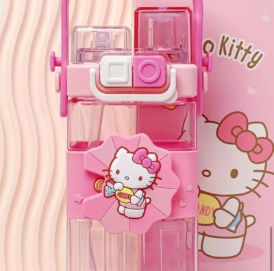 Hello Kitty Water Bottle Pink Sports Bottle New Sanrio 2024 | eBay