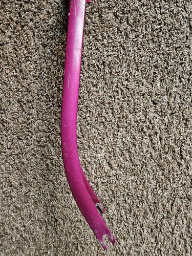 1968 Schwinn Breeze Fork - Picture 2 of 8