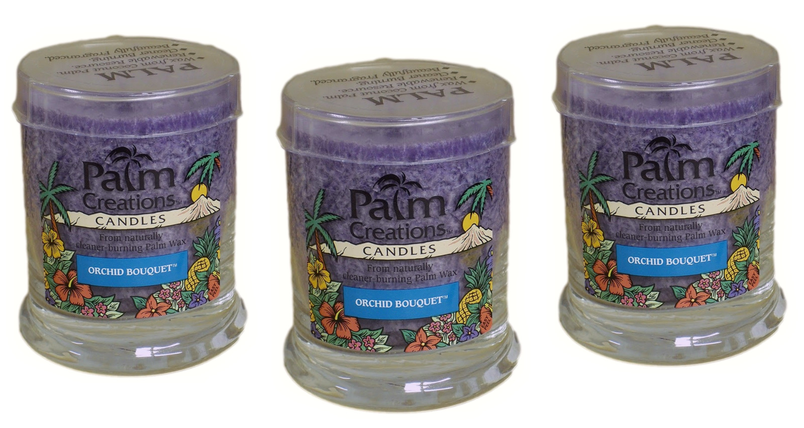 Jar Candles Bulk 3-Pack 9 oz Jars Purple Orchid Bouquet Nature's Finest 820