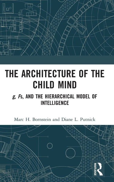 The Architecture Of The Child Mind | Marc H. Bornstein (U. A.) | Buch | Englisch-image