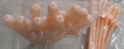 New Bachelorette Fun Party Favor Penis Dicky Sipping Drinking Straws Lot of 20 — photo 4