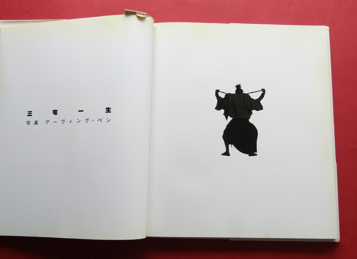 Issey Miyake PHOTOGRAPHS BY Irving Penn 1988 Japan Photo Book