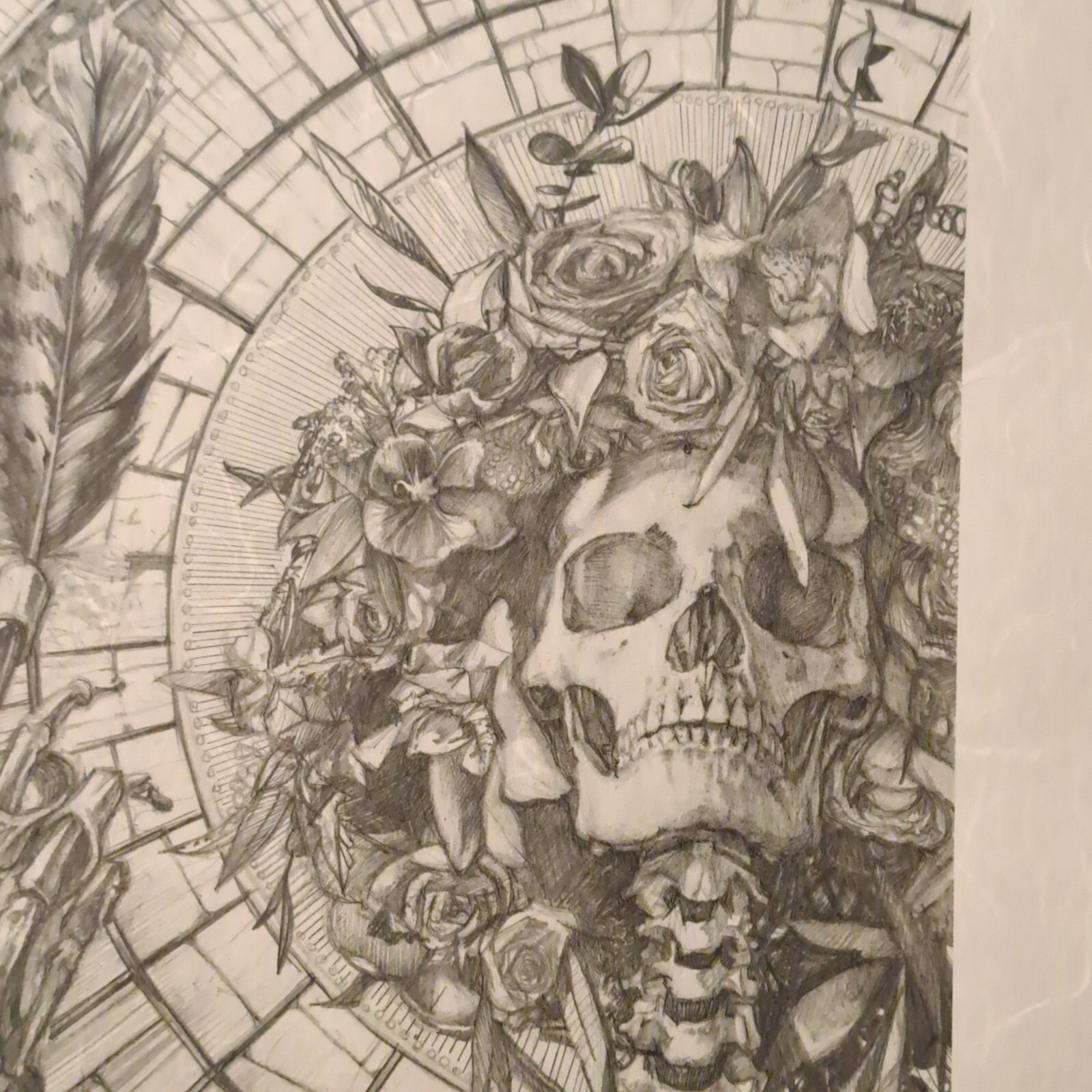 Picture 16 of 24