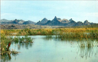 Unusual Rock Formation ''The Needles'' California Postcard View from Water