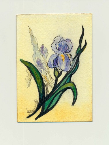 ACEO ORIG WC/INK PAINTING "Iris #8" By Barbara J. Twist-Ranous
