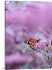 ARTCANVAS Orange Butterfly on Pink Flower Canvas Art Print