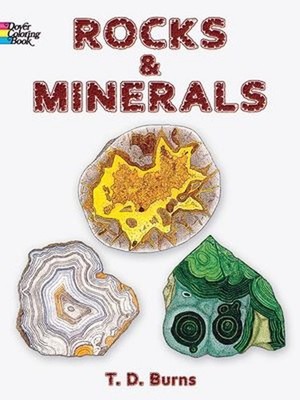 Rocks and Minerals Paperback T. D. Burns