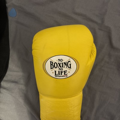 14oz Sparring gloves