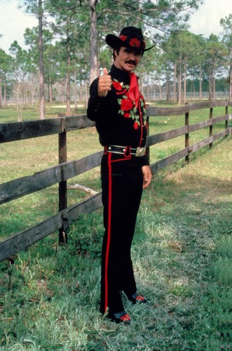 BANDIT II HUNKY BURT REYNOLDS 