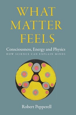 What Matter Feels: Consciousness, Energy and Physics (How Science can Explain Mi