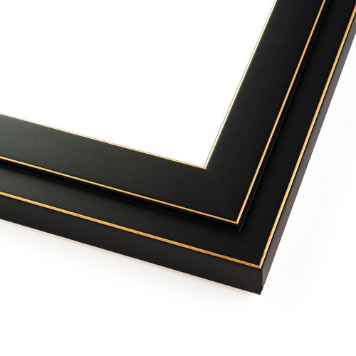 16x24 Black and Gold Pinstripe Solid Wood Frame With Uv Framer'S Acrylic