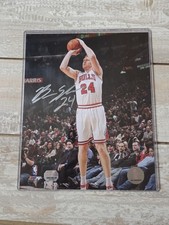 Chicago Bulls Brian Scalabrine Signed Photo The White Mamba