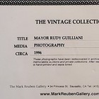 Foto 11 di 13