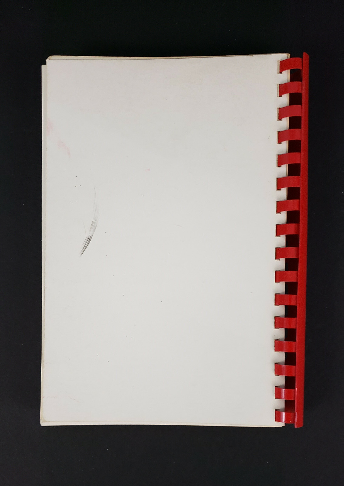 The Parish Pantry (Spizarnia Kosciol) Polish Cookbook, Harrah OK 1987