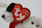 Bild 11 von 22