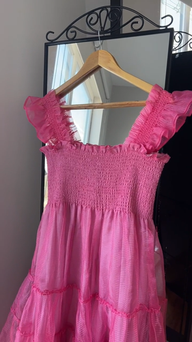 Hill House Rare Home The Ellie Nap Dress Glinda Pink Stripe Organza Size Large - Video 1 of 1