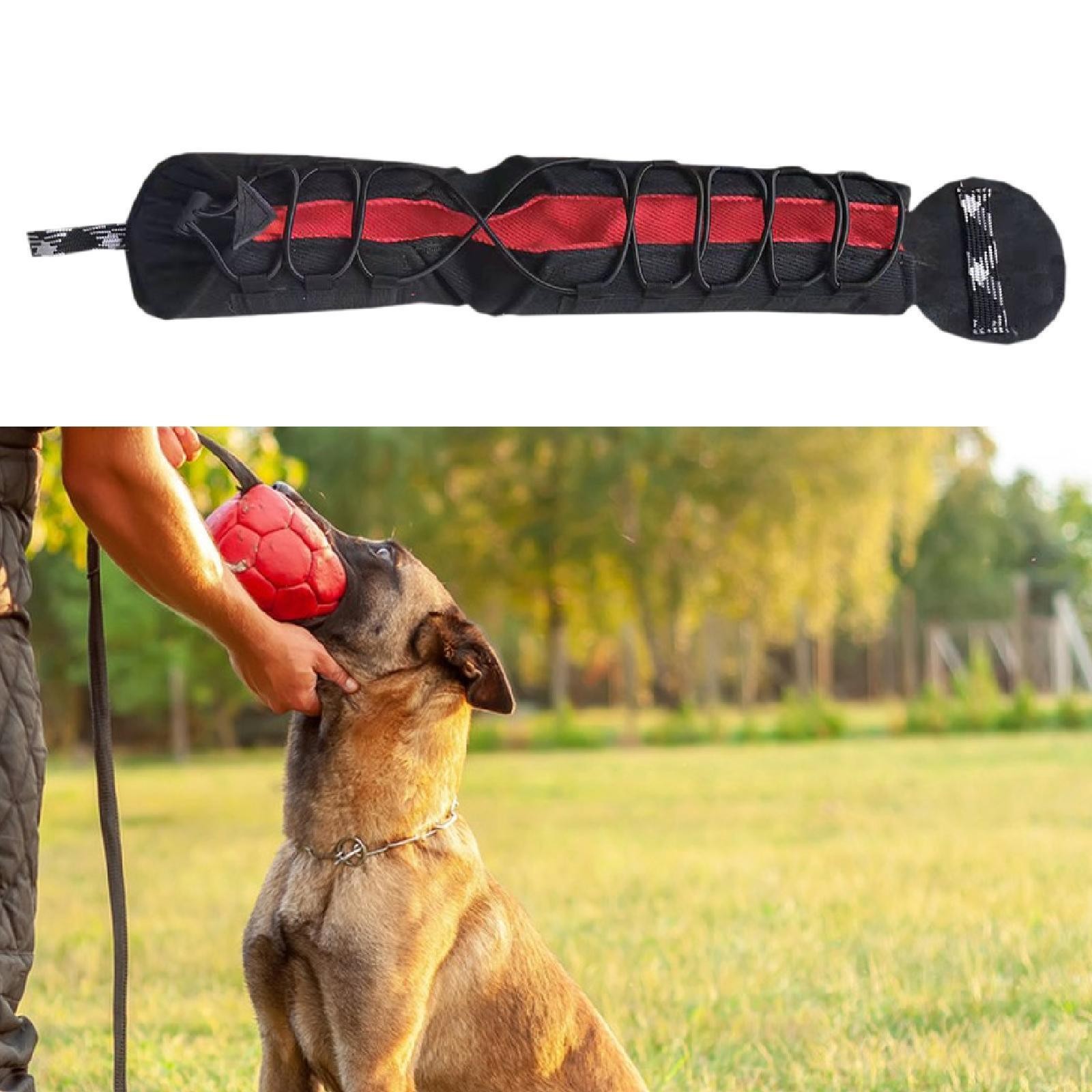 Accessori per Maniche a Morso per Cani Medi e Grandi