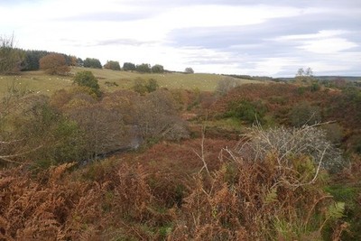 Foto 6x4 Lornty Burn Muir von Gormack auf der Muir von Gormack Seite. Ein Bauernhof um 2017