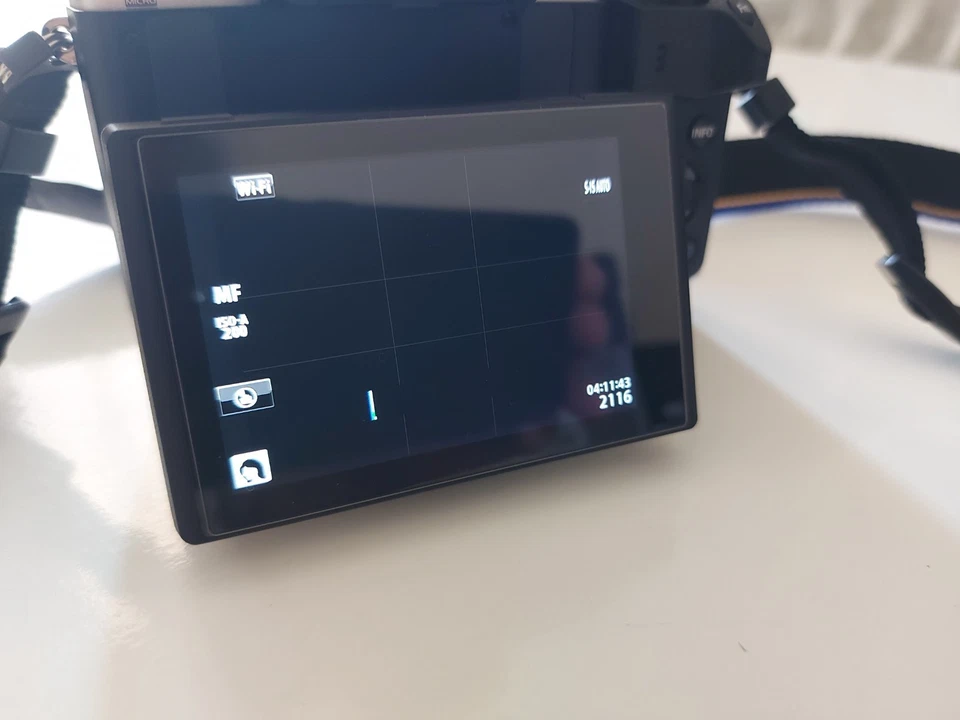 Olympus OM-D E-M10 II + Obiettivo Panasonic Lumix 25mm F 1.7 ASPH + Borsa - Immagine 4 di 4