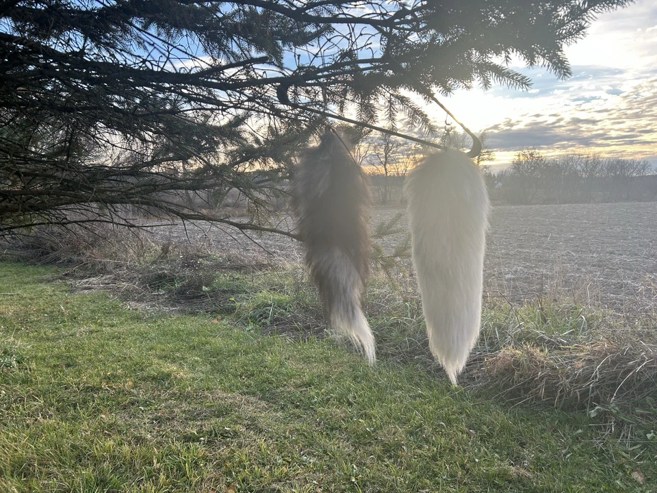 Cola de piel Colas de zorro reales Therian Llavero Bolso Dije Cosplay Juguete Bolso Cartera Colgante Foto 3 de 4