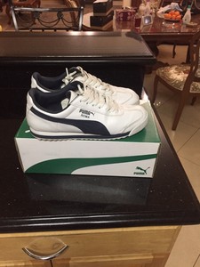 iridescent puma slides