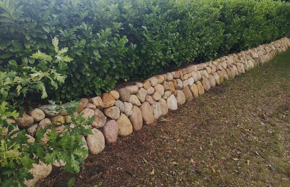 Findlinge Natursteine Friesenwall Steine 10-50 cm div. Mengen inkl. Lieferung - Bild 4 von 4