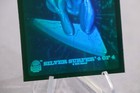 Foto 18 di 24