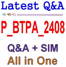 Best Exam Practice Material for P_BTPA_2408 Exam Q&A