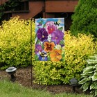 Picture 3 of 4