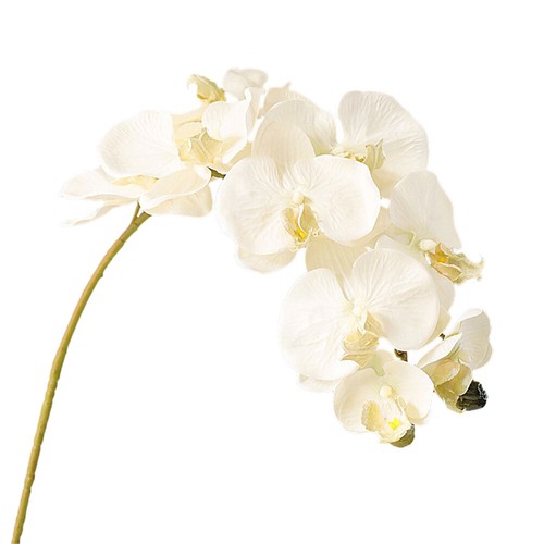 4 Bunch Latex Real Touch Artificial White Butterfly Orchids Flower For Home - Picture 11 of 68