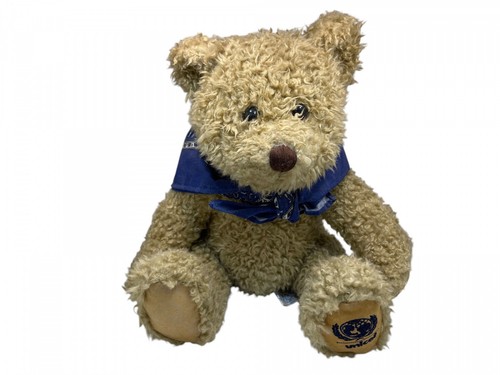 Sammler Teddybär Unicef 29 cm - Top Zustand - Bild 2 von 3