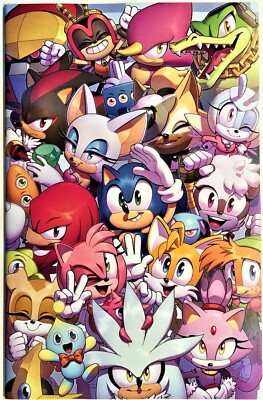 SONIC The HEDGEHOG Comic Book IDW #50 Cover B April 2022 Bagged