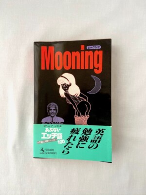 『クィア・コミュニオン　ロン・エイシー』（英語） Learn English and Slang - Abunai Ecchigo 100 by Dave Spector | eBay