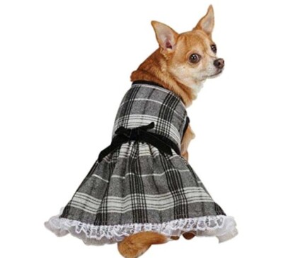 Zack & Zoey Park Avenue Dog Dress - Available in X-Small & Small | Chic Black | 