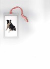 Border Collie Dog Happy Father's Day Bookmark & Greeting Card