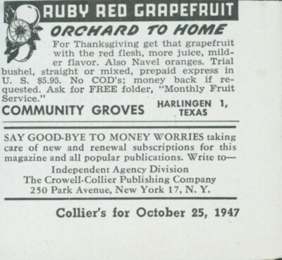 1947 Community Groves Ruby Red Grapefruit Orchard Home Harlingen TX Print Ad C19